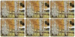 Birch Beauty Bordsunderlgg Small 6-pack